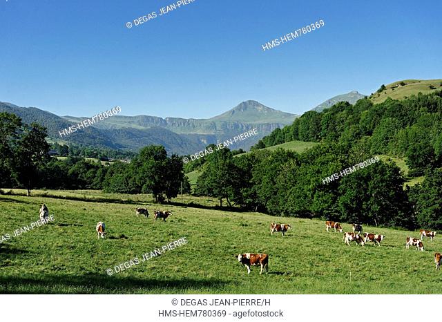 France, Cantal, Parc Naturel Regional des Volcans d'Auvergne Natural Regional Park of Auvergne Volcanoes, Cheylade Valley