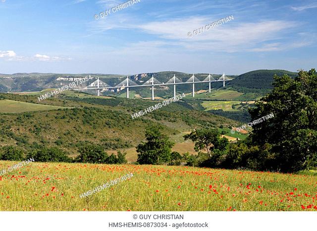 France, Aveyron, Parc Naturel Regional des Grands Causses (Natural regional park of Grands Causses), the Millau Viaduct (A75)