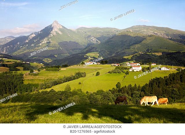 Monte Txindoki, Sierra de Aralar, Lazkaomendi, Gipuzkoa, Euskadi, Spain