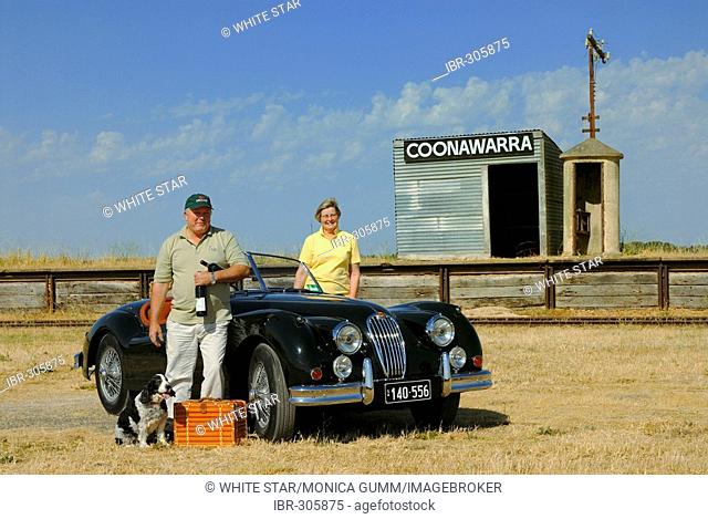 James and Anne Yates, owners of the Chardonnay Lodge with their Jaguar XK 140 built in 1954, Coonawarra, South Australia, Australia