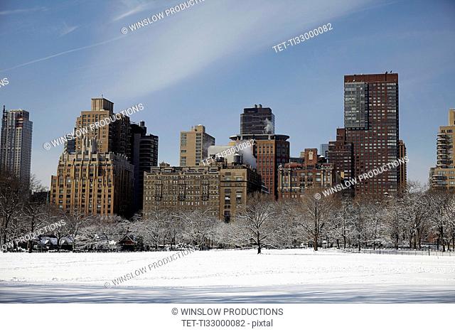 View of Central Park at winter
