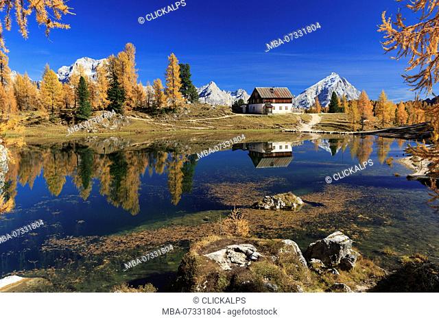 Refuge Croda da Lago in autumn reflection into Lago Federa, Cortina d'Ampezzo, Province of Belluno, Veneto, Italy