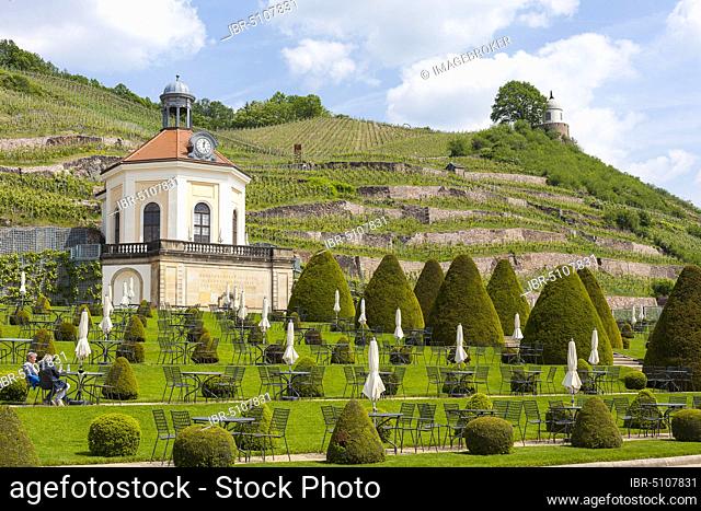 Belvedere in the castle park Wackerbarth with Jacobstein, in the background the vineyards, Radebeul, Saxony, Germany, Europe
