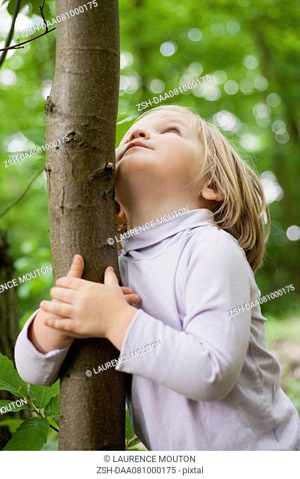 Toddler girl embracing tree trunk, looking up