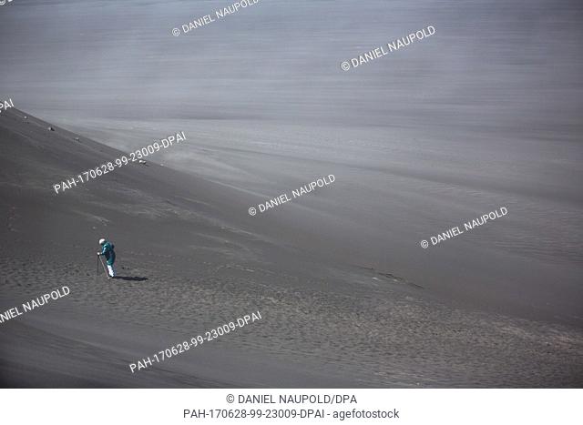 A tourist walks across a sandy area to the Island of IngÃ³lfshöfði, Iceland, 27 June 2017. The greatest attraction of the island are Atlantic puffins