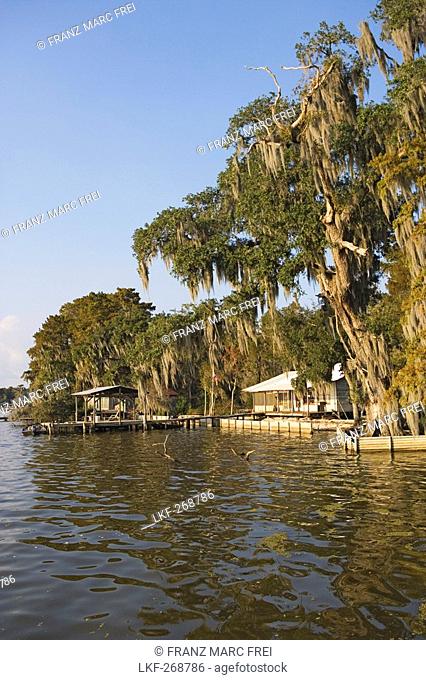 Cabins near Attakapas Landing on Lake Verret, near Pierre Part, Louisiana, USA