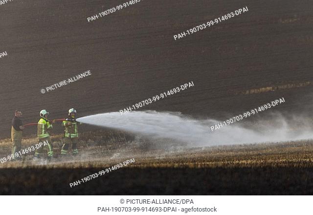 03 July 2019, Saxony, Dresden: Firefighters extinguish a field fire in Weißig in the Schönfeld highlands. Weißig is a district in the northeast of the city of...