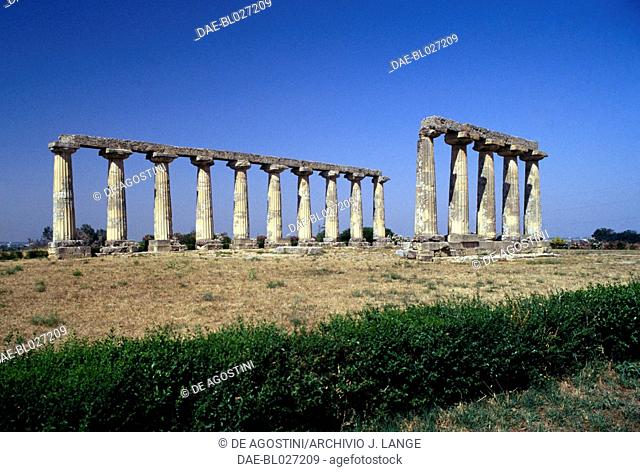 Temple of Hera or Palatine Tables, in Doric style, 6th century BC, archaeological area of Metapontum, Bernalda, Basilicata, Italy