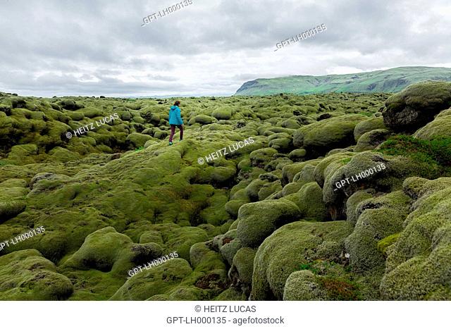WOMAN HIKING IN A FIELD OF MOSS-COVERED ROCKS, ROUTE 1 IN THE AREA AROUND KIRKJUBAEJARKLAUSTUR, ICELAND