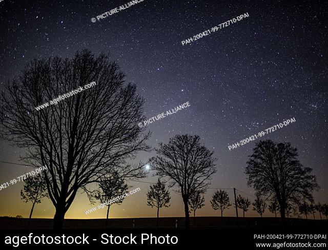 20 April 2020, Brandenburg, Petersdorf: The starry sky shines in the night over an avenue. Mostly starry skies allow an unobstructed view of the shooting stars...