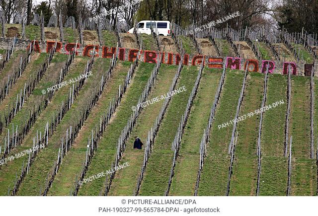 27 March 2019, Bavaria, Würzburg: A graffiti with the text ""Deportation = murder"" can be seen on a vineyard wall in the vineyard Am Stein