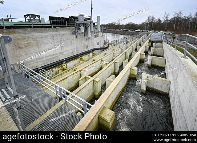 17 February 2023, Saxony-Anhalt, Friedersdorf: A fish ladder at the new hydropower plant allows fish to migrate up the river