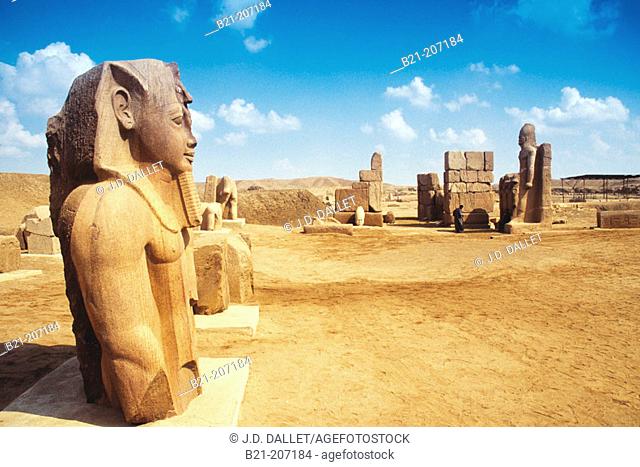 Ruins of Tanis. Egypt