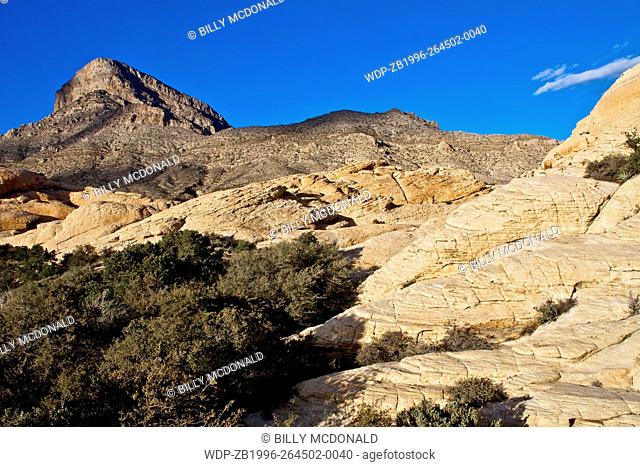 Turtlehead Peak Rises Above The Aztec Sandstone Slickrock of The Calico Hills Near The Sandstone Quarry, Red Rock Canyon NCA, Las Vegas, USA
