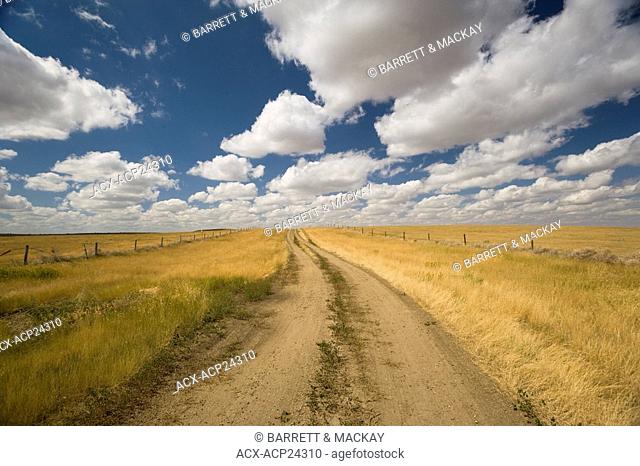 Qu'appelle Trail, Cypress Hills, Saskatchewan, Canada