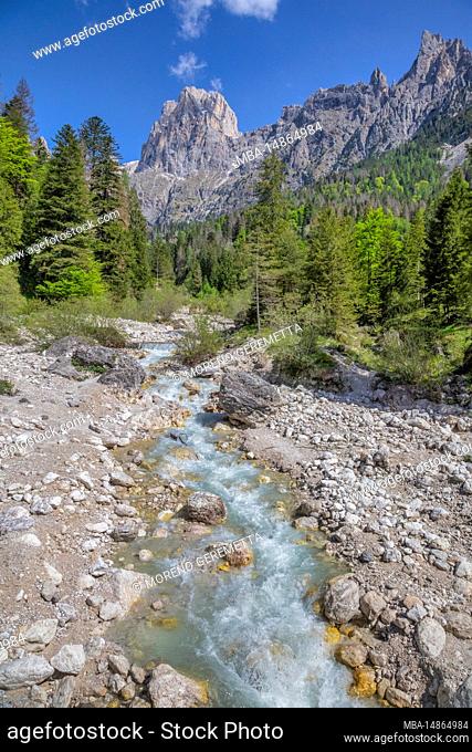 Italy, Trentino, Primiero San Martino di Castrozza, the lower Val Pradidali, in the background Cima Canali, Pale di San Martino group, Dolomites