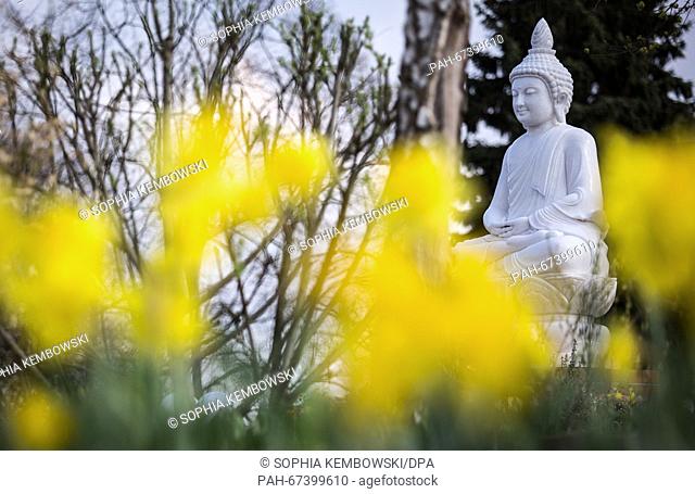 A statue of Buddha sits at the Thai Cultural Center in Berlin,  Germany, 06 April 2016. A Buddhist Thai cultural center is being established on a former...