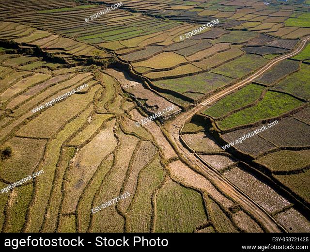 Aerial view of paddy fields in winter, Nepal