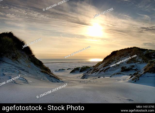 Dune landscape between Süddorf and Wittdün, Amrum, North Frisia, North Sea, North Frisian Islands, Wadden Sea National Park