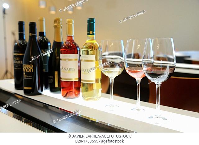 Wine Tasting Hall, Olarra winery, Rioja, Logroño, Spain