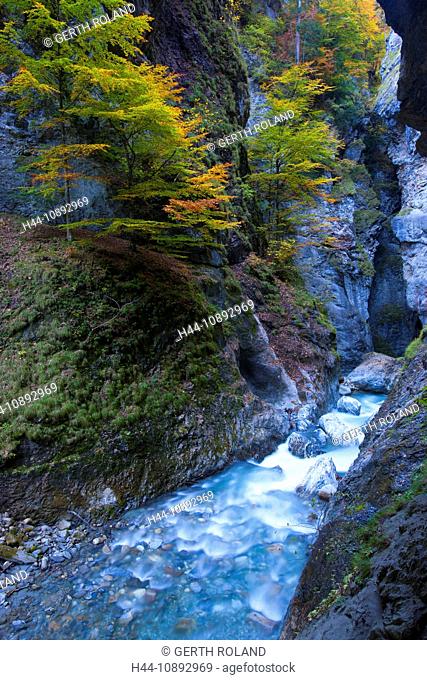 Liechtensteinklamm, Austria, Europe, Salzburg, gulch, erosion, rock, cliff, cliff wall, brook, trees, autumn