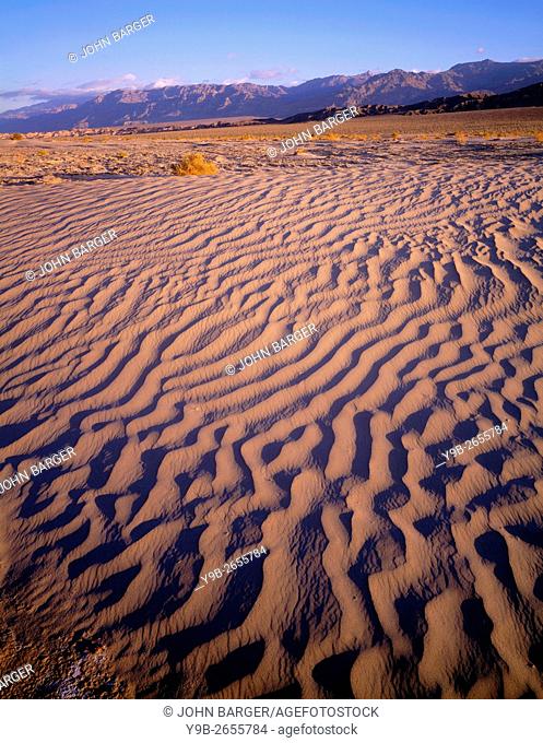 USA, California, Death Valley National Park, Textures in sand dunes at Mesquite Flats with Grapevine Mountains in the distance