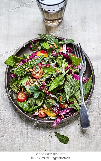 Wild herb salad with tomatoes and radishes