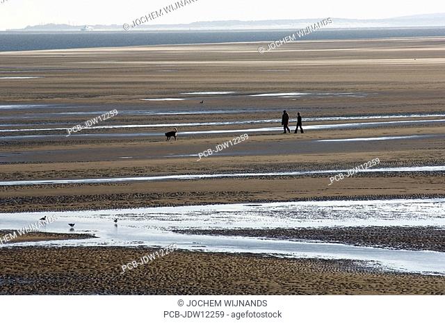 Terschelling, people walking the dog on the Noordsvaarder tidal plate