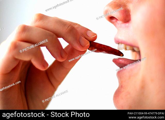 ILLUSTRATION - 04 October 2021, Berlin: A person holds a dried chili pepper by her open mouth. The Nobel Prize in Medicine this year goes to Julius (USA) and...