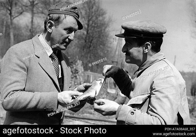 Poisson d'avril  April Fools' Day Year: 1954 - France Bourvil, Louis de Funès  Director: Gilles Grangier Restricted to editorial use
