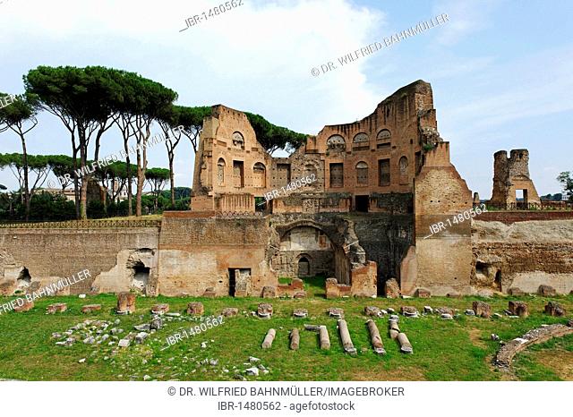 Palatine Hill, Stadio Palatino in the Domus Augustana part of the Palace of Domitian, ancient Rome, Rome, Lazio, Italy, Europe