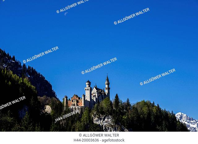 Neuschwanstein castle, Allgäu, Bavaria