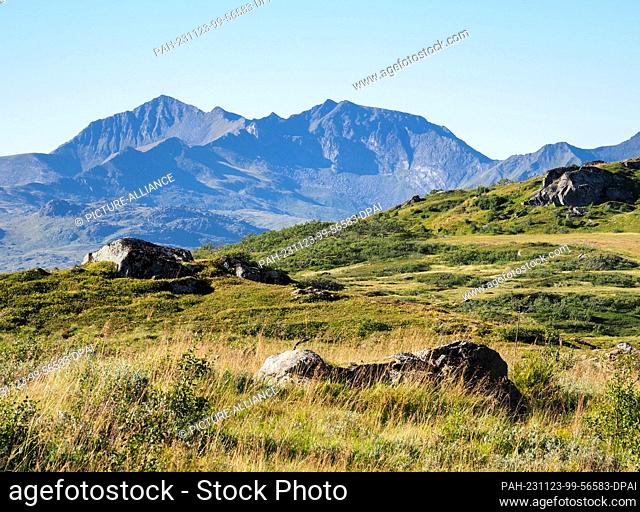26 August 2023, Norway, Leknes: View of green hills and granite rocks during a hike in the mountains near Leknes. Photo: Soeren Stache/dpa