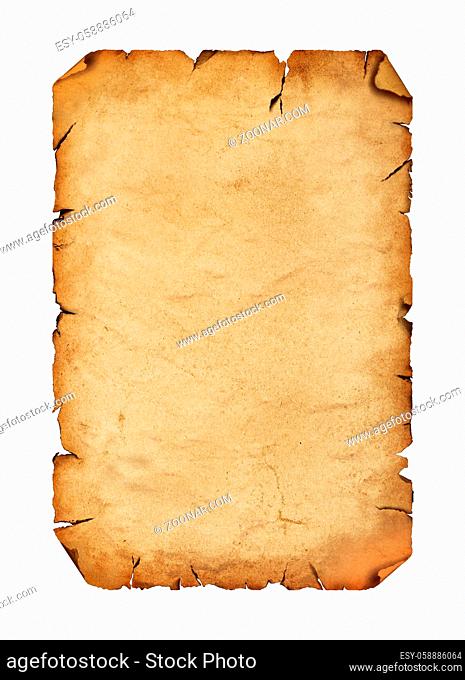 Close up one blank old antique vintage brown paper parchment scroll with copy space isolated on white background