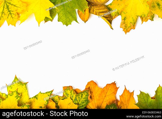 Autumn leaves frame isolated on a white background