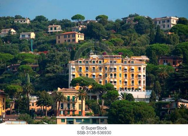 Hotel surrounded by trees in a town, Santa Margherita Hotel, Santa Margherita Ligure, Genoa Province, Liguria, Italy
