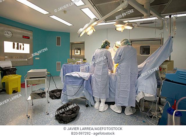 Traumatology operation room. Hospital de Zumarraga, Gipuzkoa, Euskadi, Spain