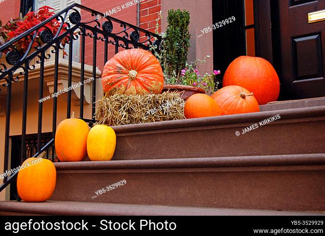 Autumn pumpkins and squash adorn a stone stairway and stoop outside a brownstone in Brooklyn Heights, New York