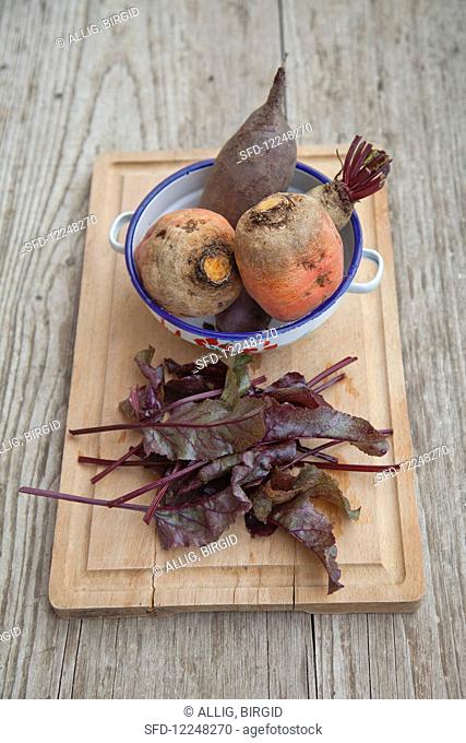 Forono beetroots with leaves for a salad