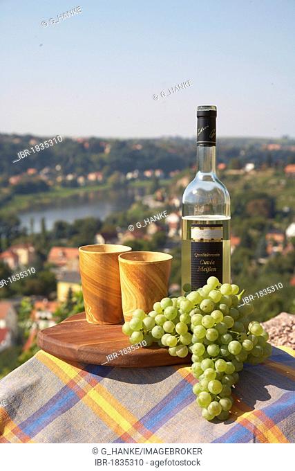 Still life with wine, grapes, a wine glass and wine cups, against the backdrop of Meissen, Saxony, Germany, Europe
