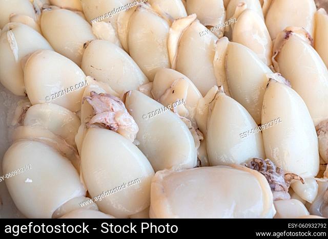 stack of clean common cuttlefish or European common cuttlefish (Sepia officinalis) sold at market, seafood