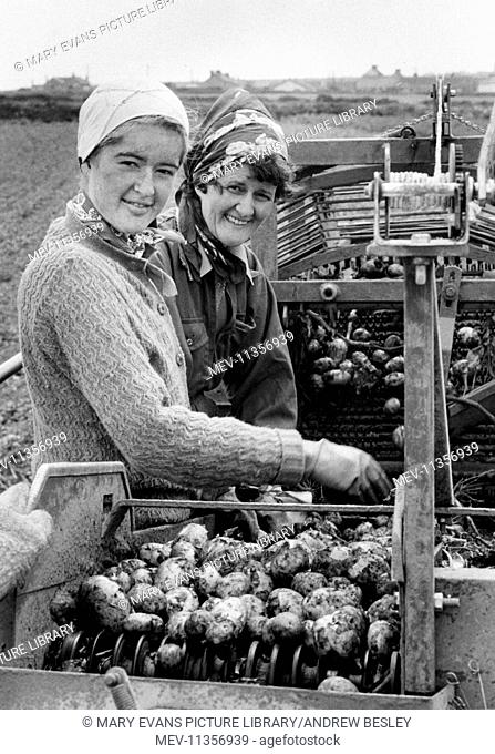 Mother and daughter (Pamela and Sandra Semmens) working on the potato harvest at Rafta Farm, St Levan, near Lands End, Cornwall