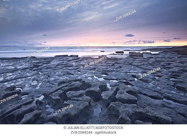 The wavecut platform at Dunraven Bay looking like a lifesize jigsaw puzzle. The bay is on the Glamorgan Heritage Coastline in Wales