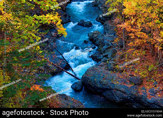 Japanese Fall Foliage and River