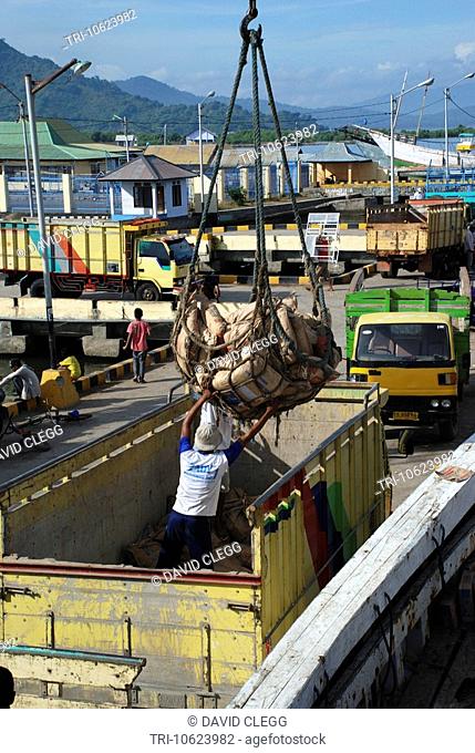 Man helps direct a cargo net of cement sacks being lowered into dirty yellow truck on jetty other trucks and buildings on jetty Bima harbor Sumbawa Timur NTB...