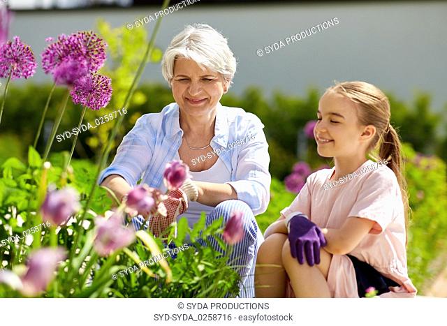 grandmother and girl with flowers at summer garden