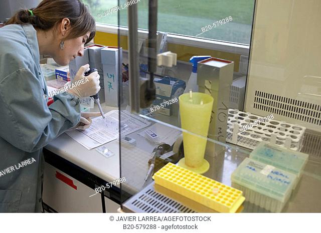 Taking samples in cell cultures. Laboratory, Fundación Inbiomed, Genetrix Group. Center for research in stem cells and regenerative medicine