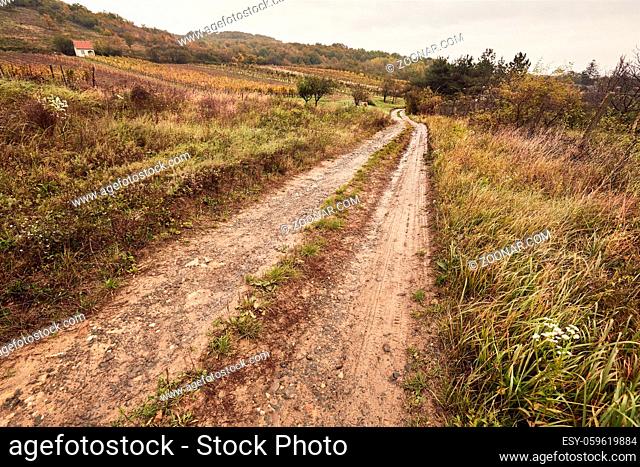 Muddy dirtroad crossing the countryside