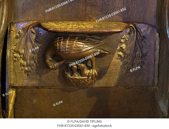 Misericord depicting pelican in her piety, in Medieval Europe pelicans were often depicted giving blood to young as attentive behaviour in times of hardship