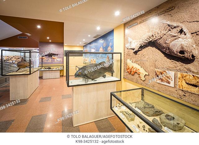 Centro de Interpretación Paleontológica de La Rioja, Igea, La Rioja , Spain, Europe